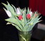 image02